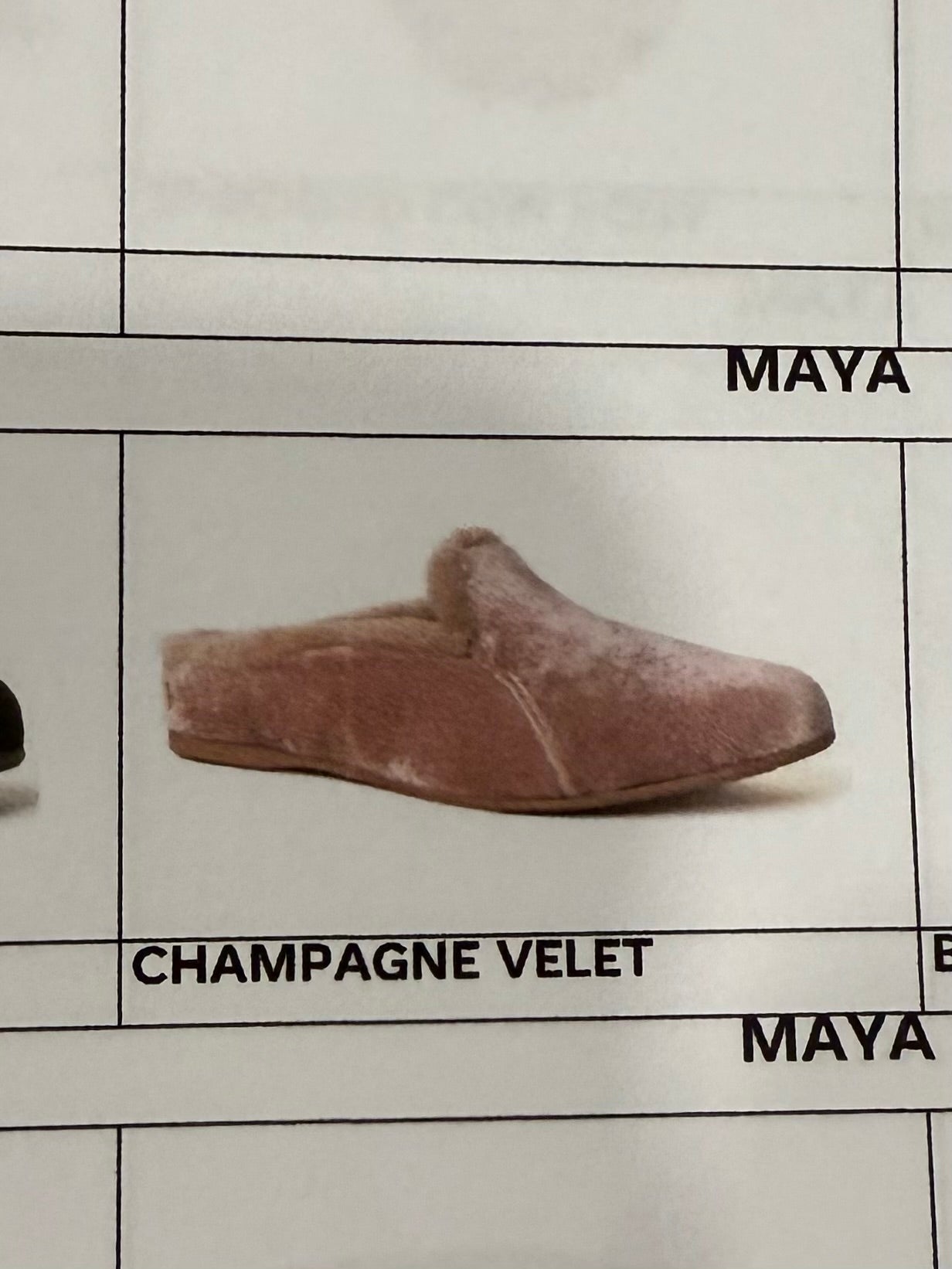 MCH Maya Champagne Velvet