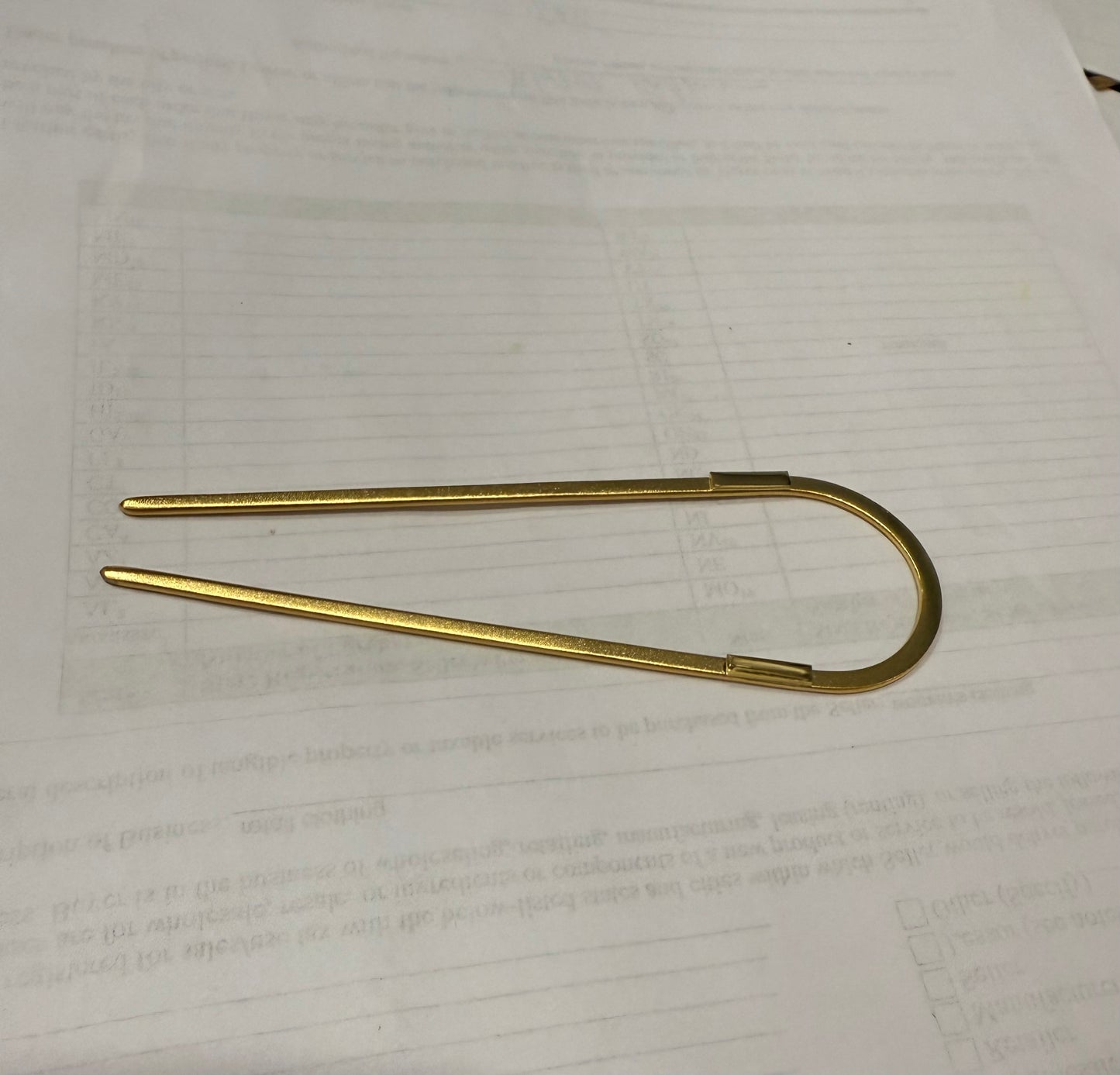 FC Equestrian Chignon