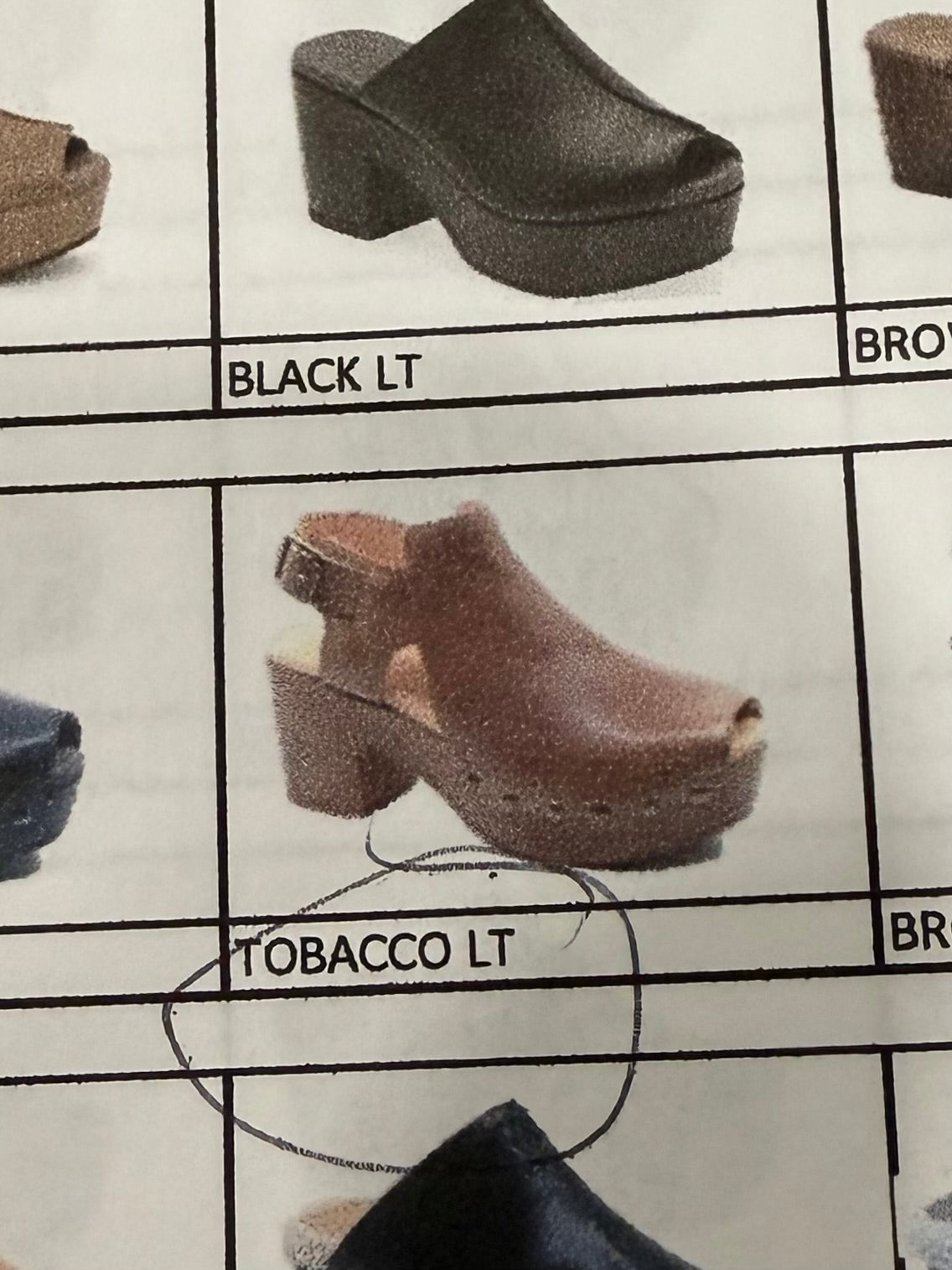 CB Galla Shoe