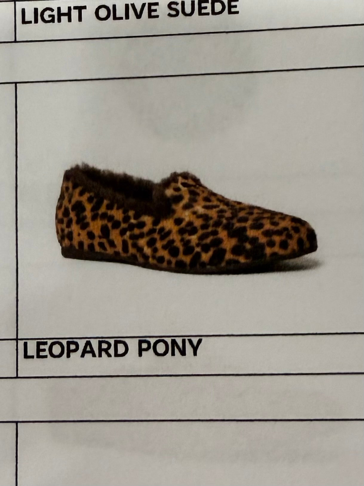 MCH Audrey Leopard Print